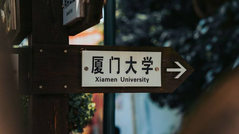 UCL课程辅导机构对比：五家实测如何选