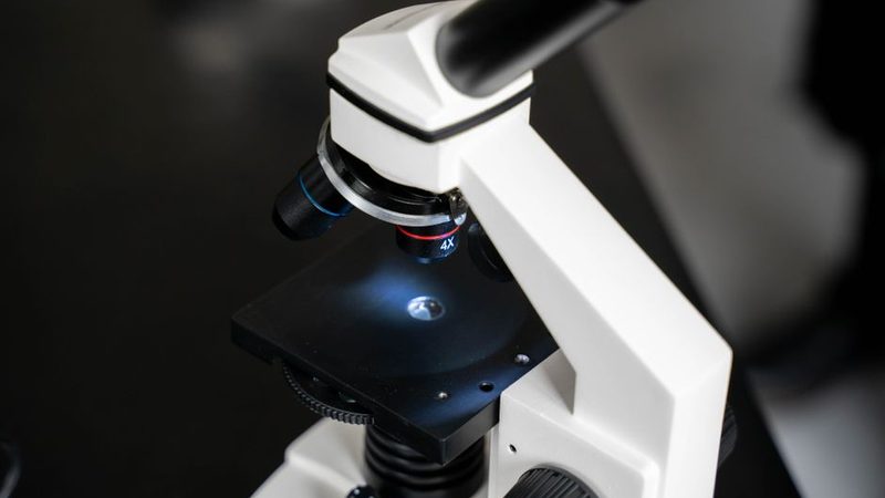 生化实验报告补考亲测_我选这家老牌_冷门能接_匹配快